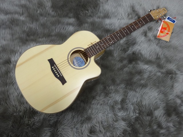 今週末は仙台楽器オータムフェア】カナダ産アコースティックギター