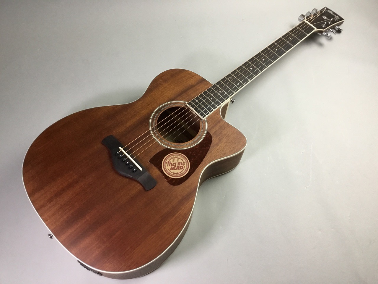 アコースティックギター】夏だ！アコギだ！オススメアコースティック