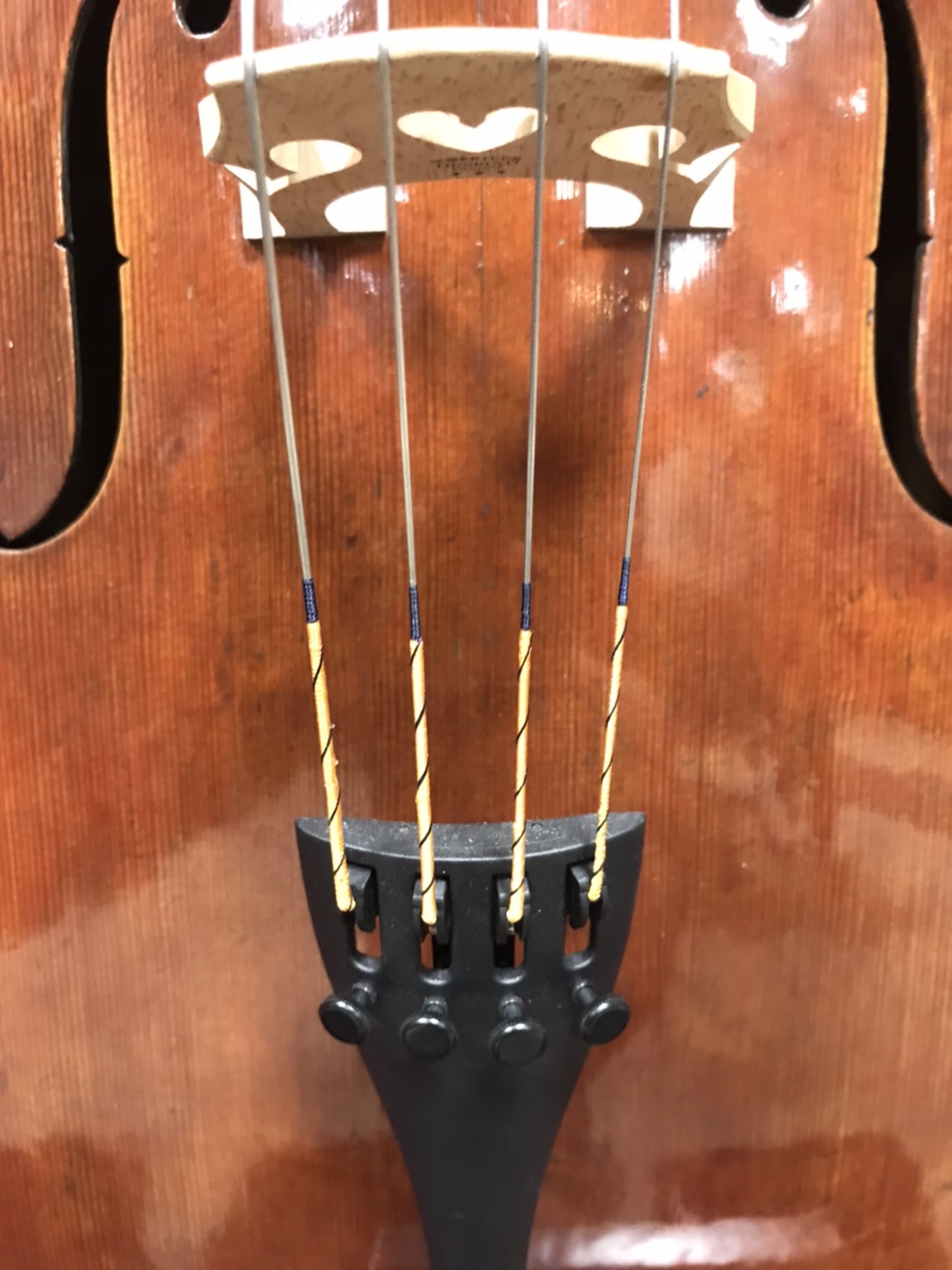 商品レビュー】Larsen社 チェロ弦 Il Cannone（イル・カノーネ）試して