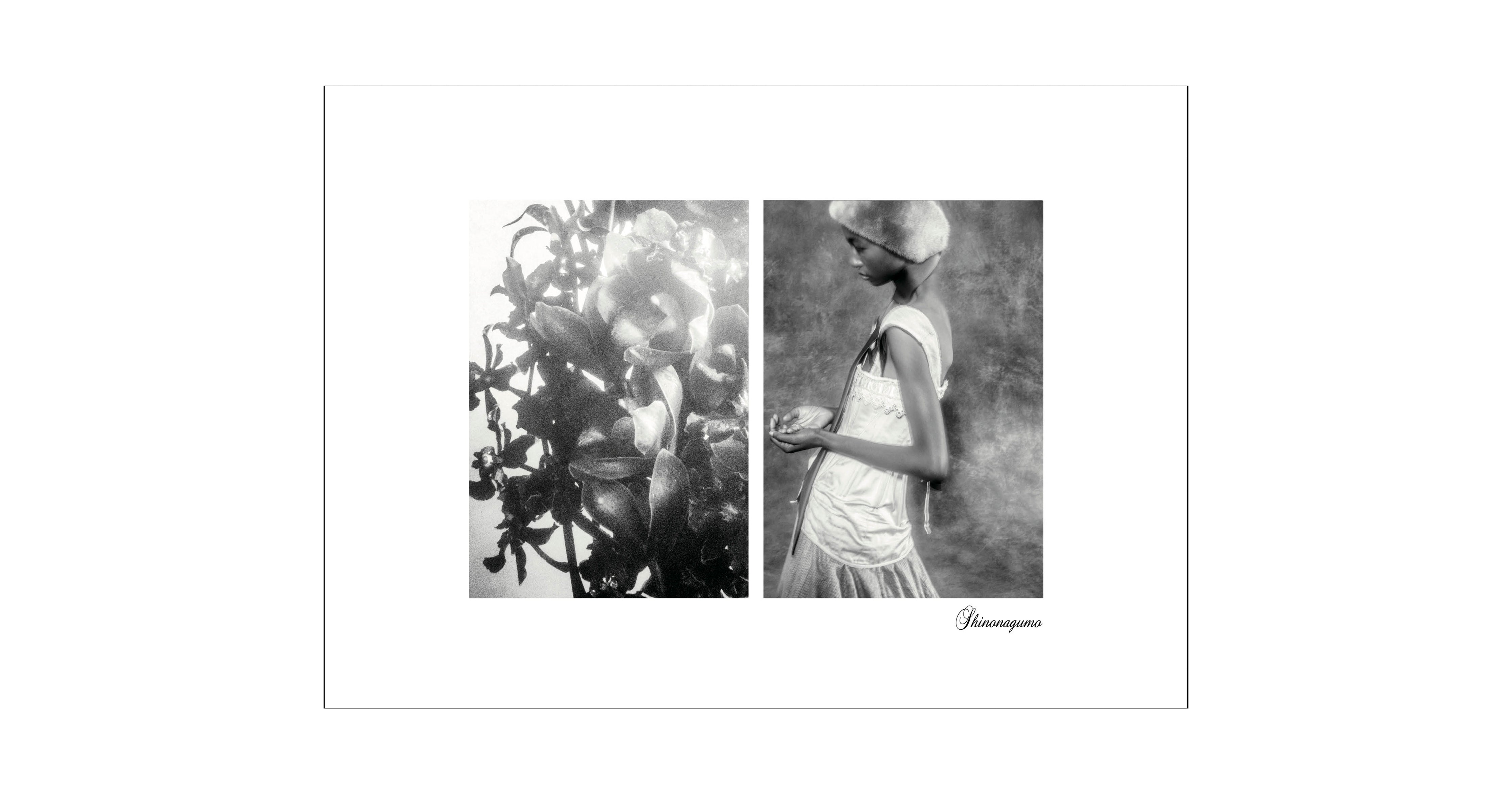 web_shino4_4472x.jpg?v=1632526775