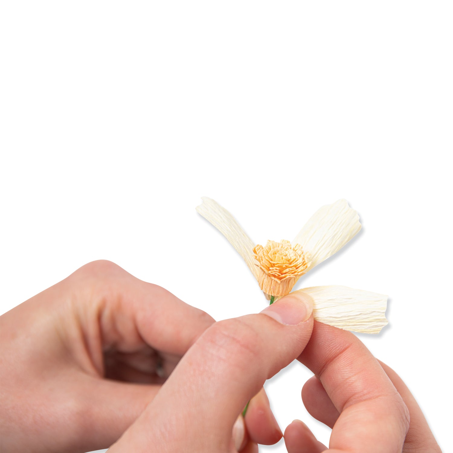 Sizzix Thinlits Die Set 8PK - Daisy Flower Mix – Sizzix.com