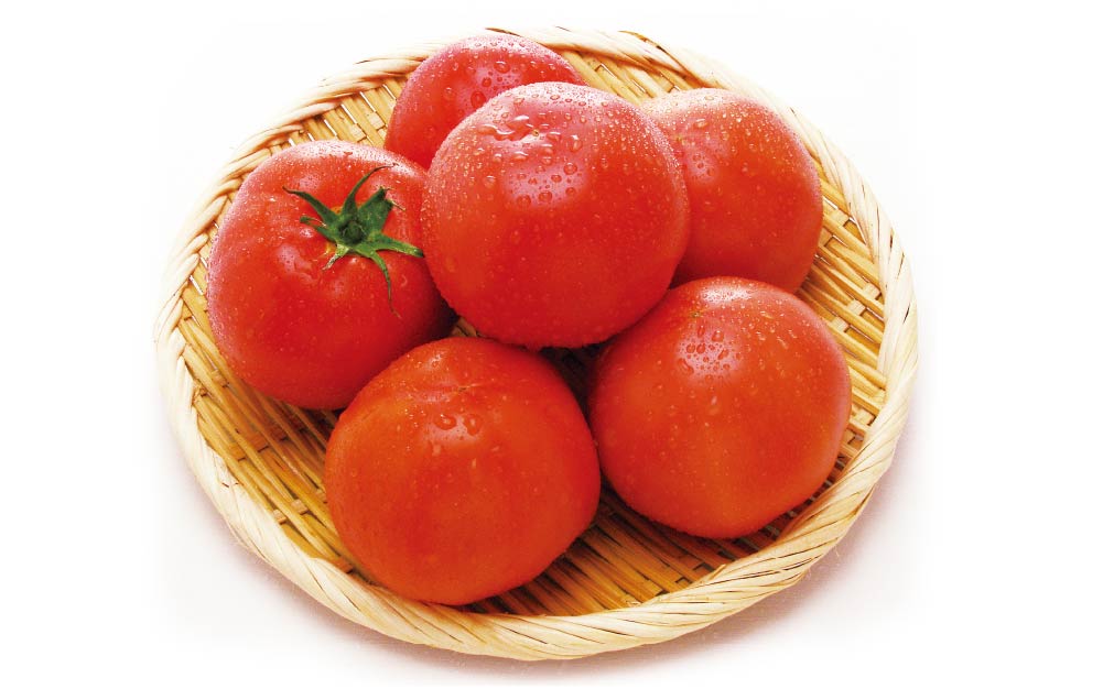 長島とまと〈三重〉 | 産地探訪｜4つのこだわり｜スーパーマツモト