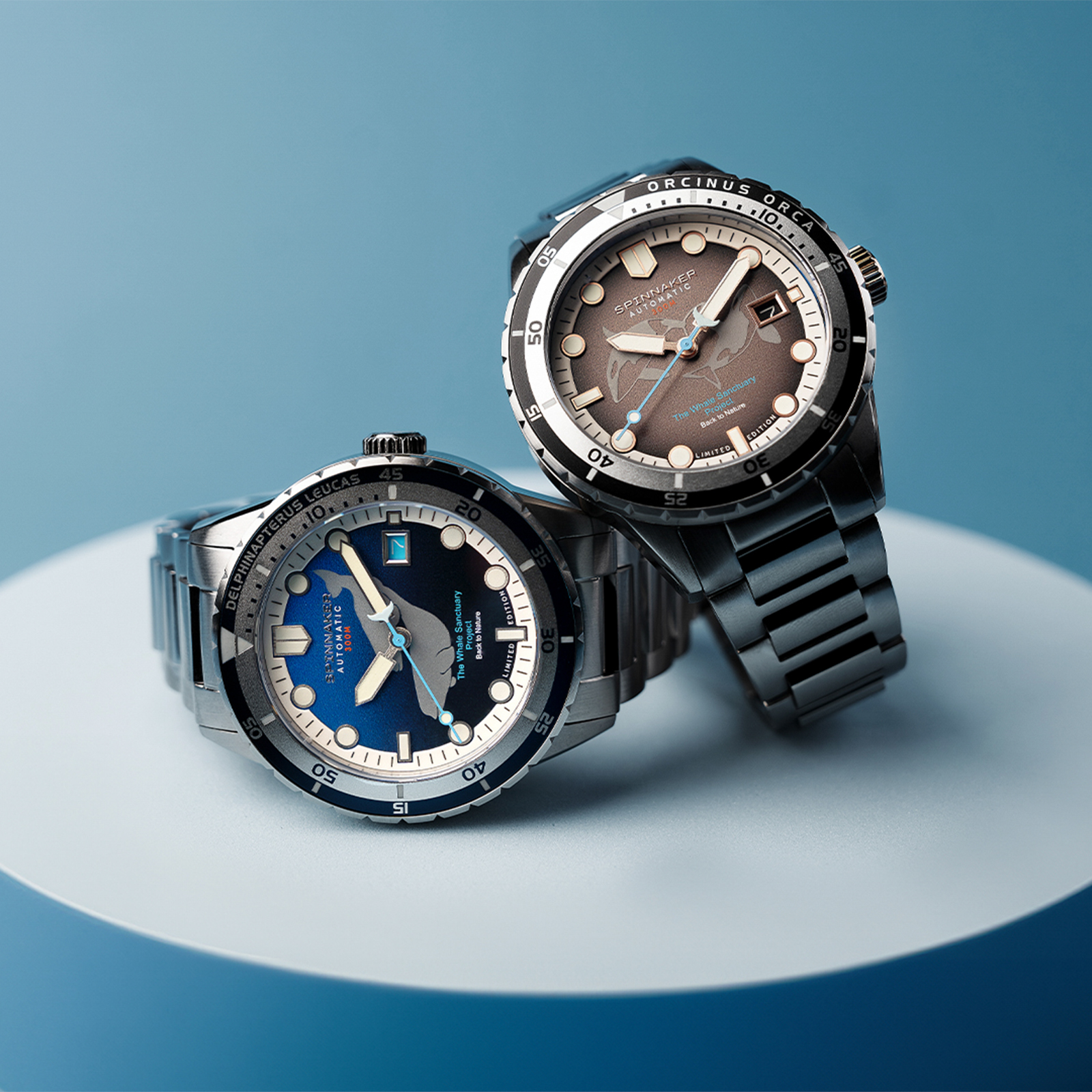 SP-5128-33 | COLLECTION | SPINNAKER | スピ二カー 時計公式サイト