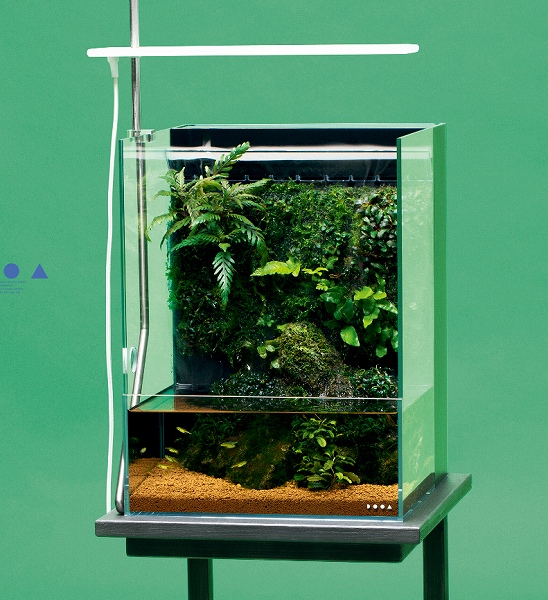 DOOA システムテラ 30