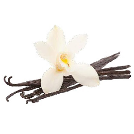 バニラエキストラクト – プラナロム エッセンシャルオイル・精油｜健草