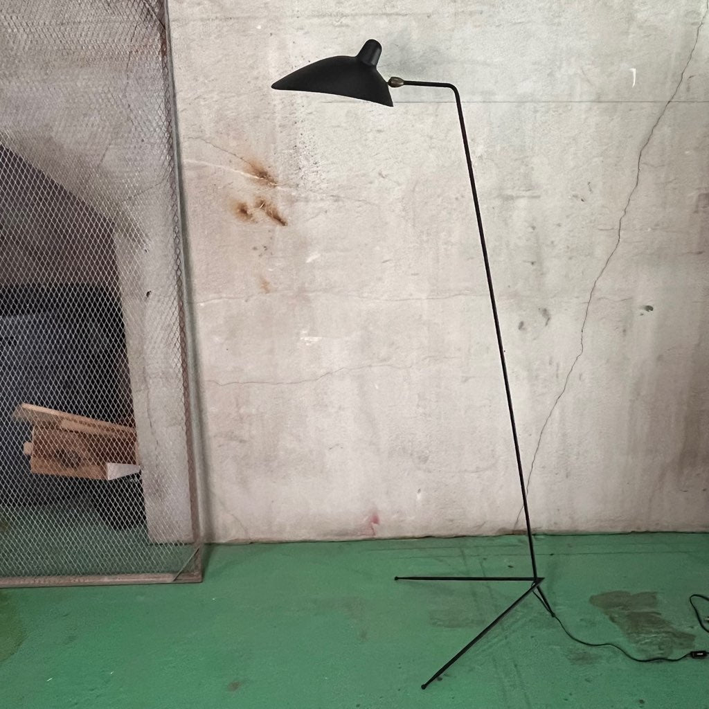 イデー ランパデール アン ルミエール LAMPADAIRE 1 LUMIERE Serge