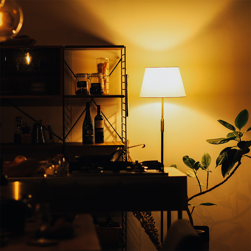 フロアライト Delicia ｜家具・インテリア通販 Re:CENO(リセノ)