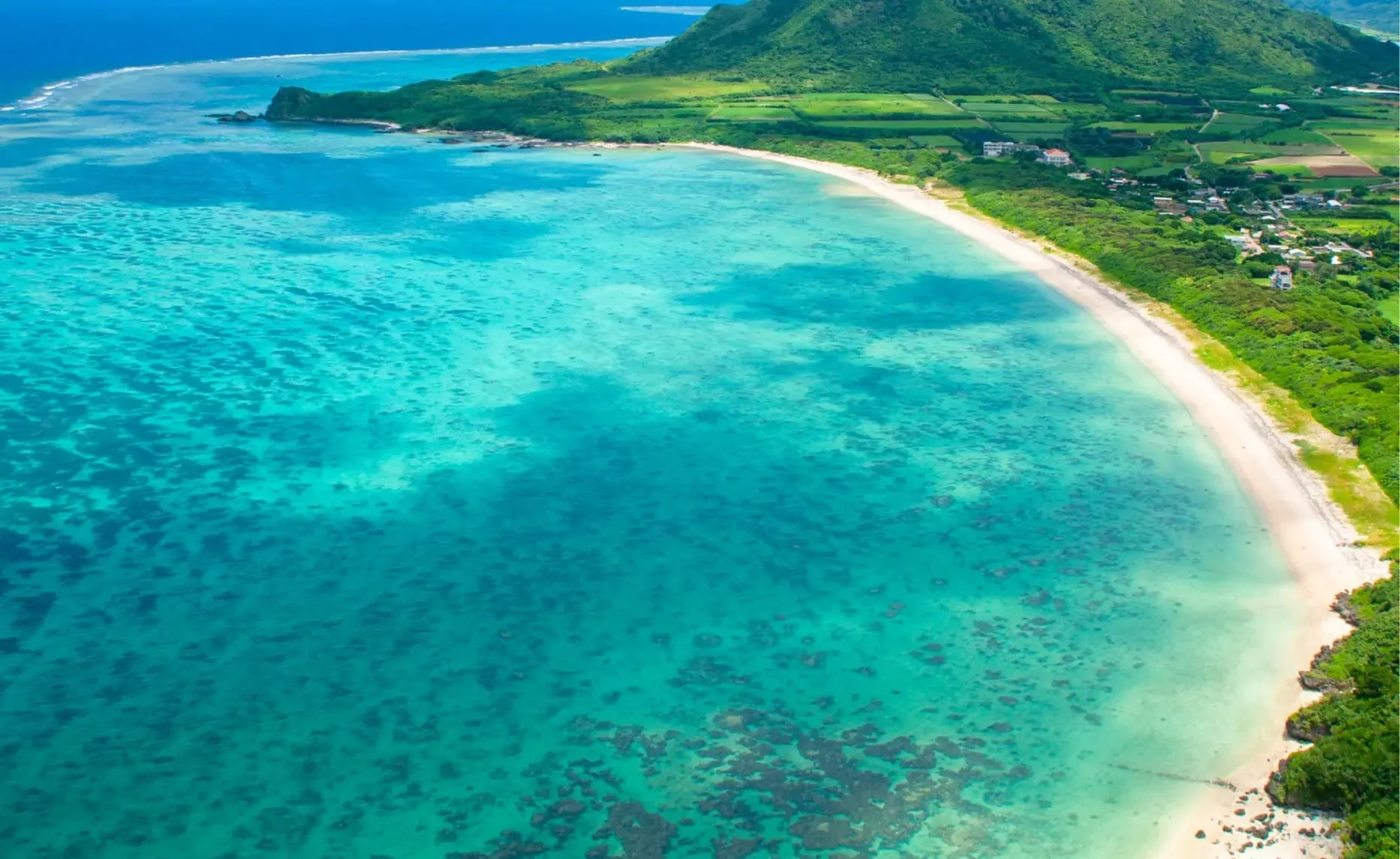 マンタ・ウミガメ遭遇率高｜石垣島シュノーケルツアー少人数制の