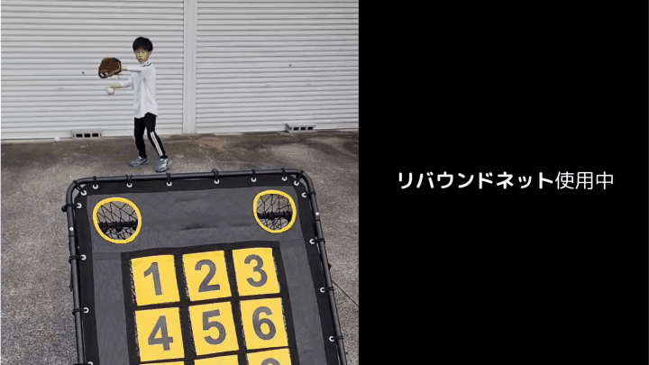 楽天市場】LEADING EDGE リーディングエッジ ターゲットネット