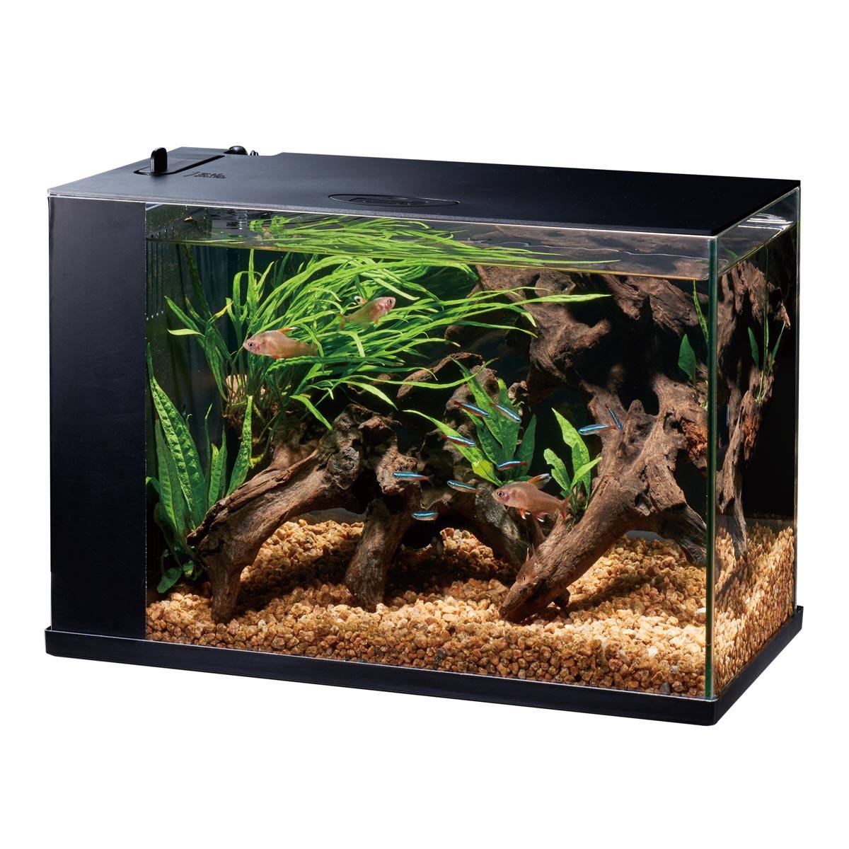 アクアリウム（ラクテリア） RAKU【GEX(ジェックス)】【りかなび