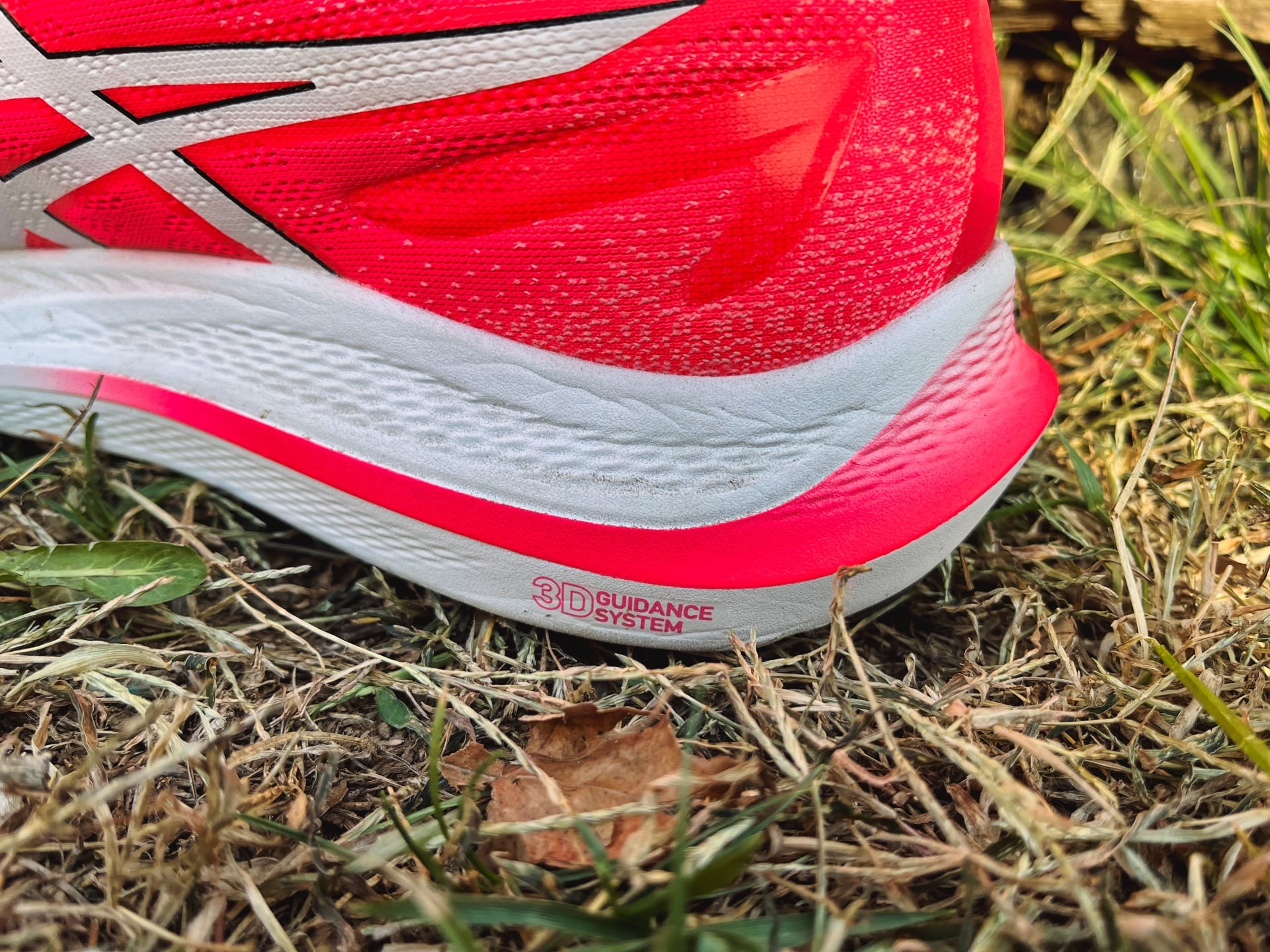 ASICS GT 2000 12 Review | Running Shoes Guru