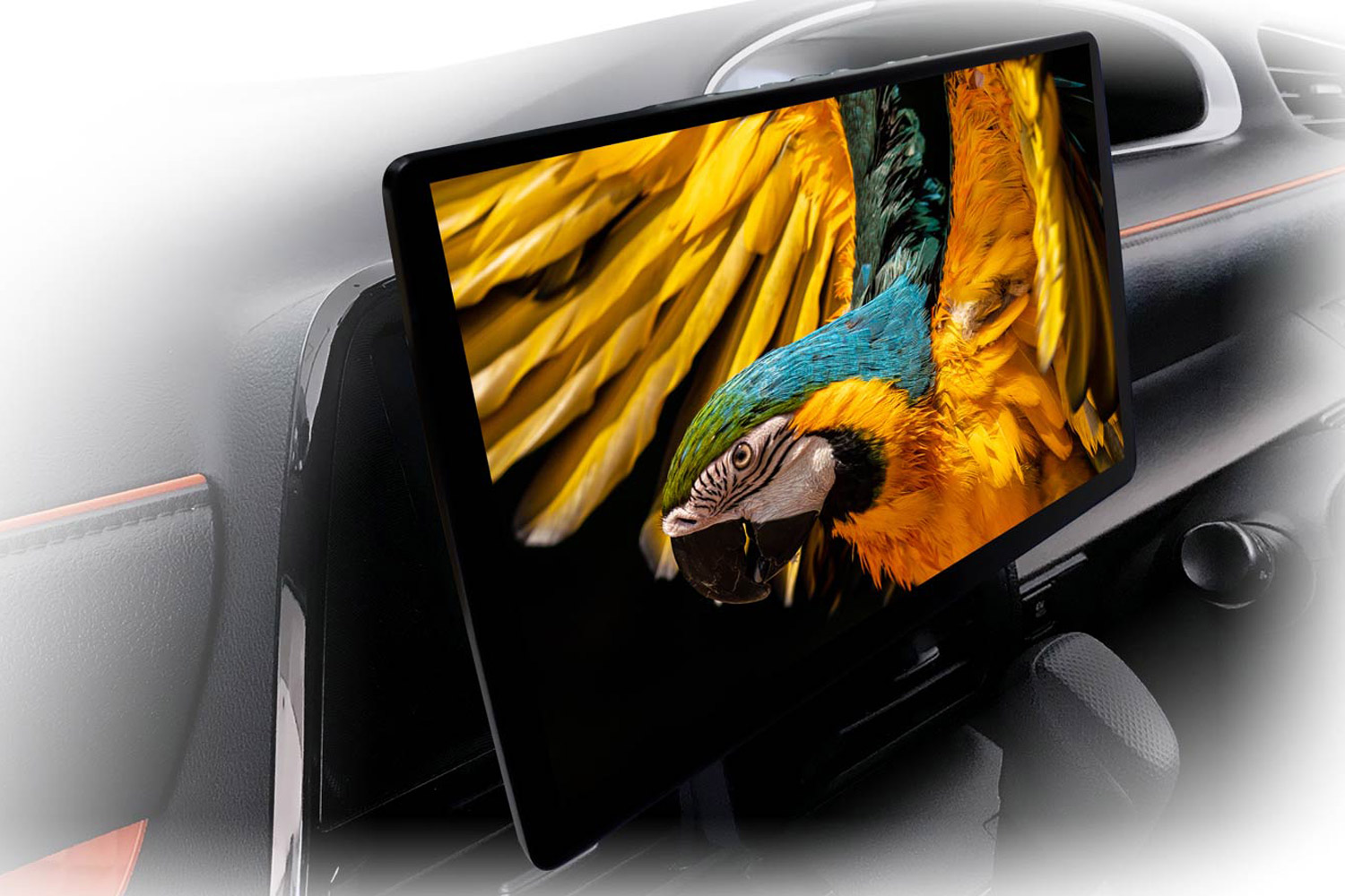 img_b0053e2af40c9d25ef9967a79d