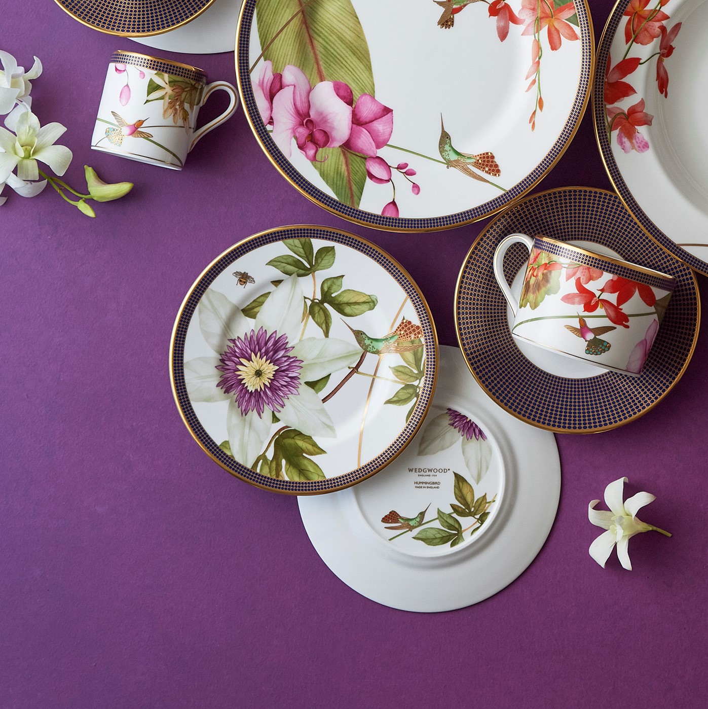 ハミングバード ティーカップ＆ソーサー|WEDGWOOD公式オンラインストア