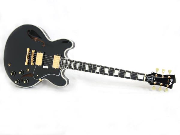 FgN フジゲン MSA-HP-C BK 国産 セミアコ エレキギター Fujigen 送料