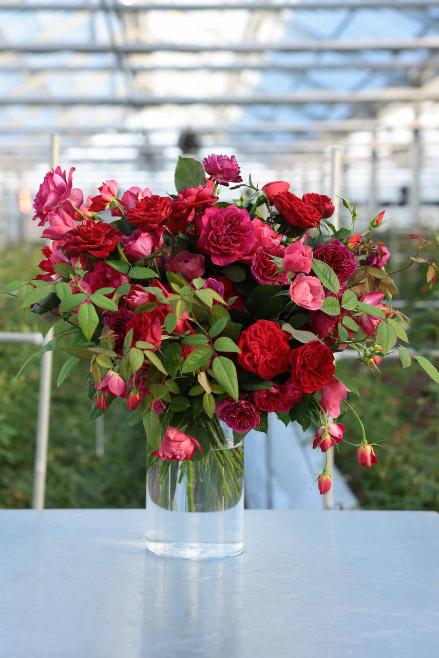 商品 – ページ 6 – WABARA online store