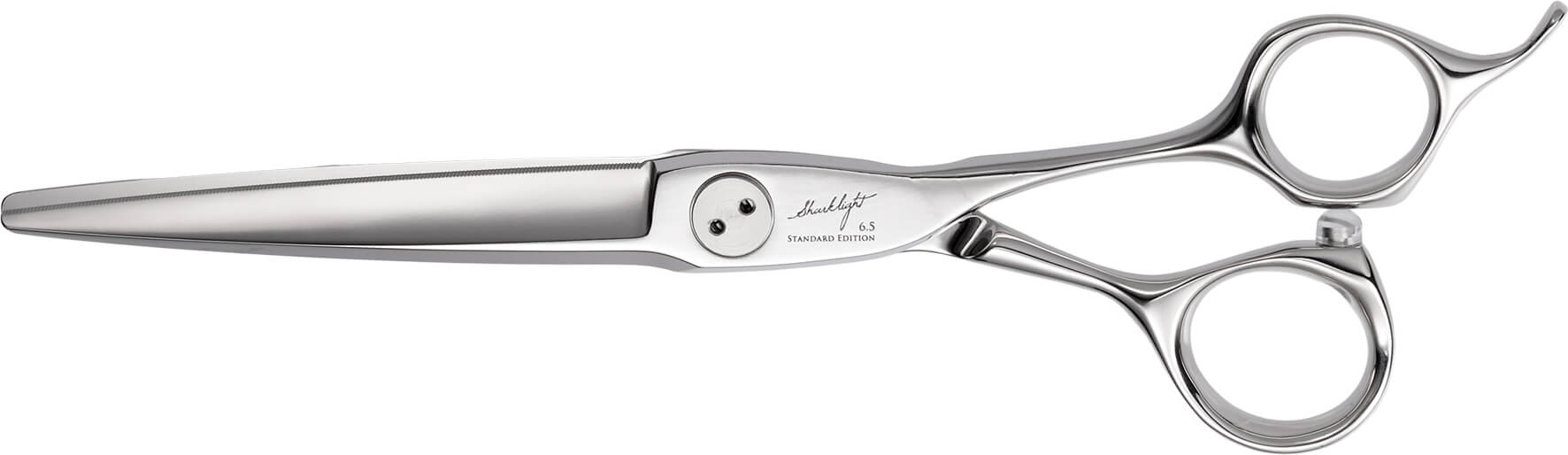 シャークライト - TOGINON