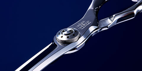 シャークスプレッド／キングスプレッド - TOGINON