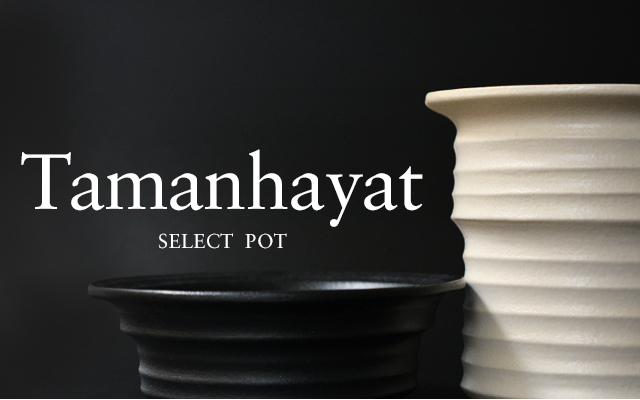 HANDMADE POT “Tamanhayat” | 多肉植物・特別な鉢の販売 | トーキー | TOKY