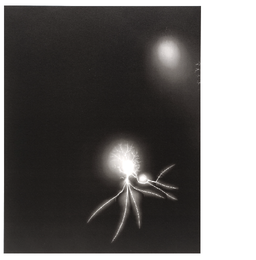 杉本博司,Hiroshi Sugimoto|@GALLERY TAGBOAT