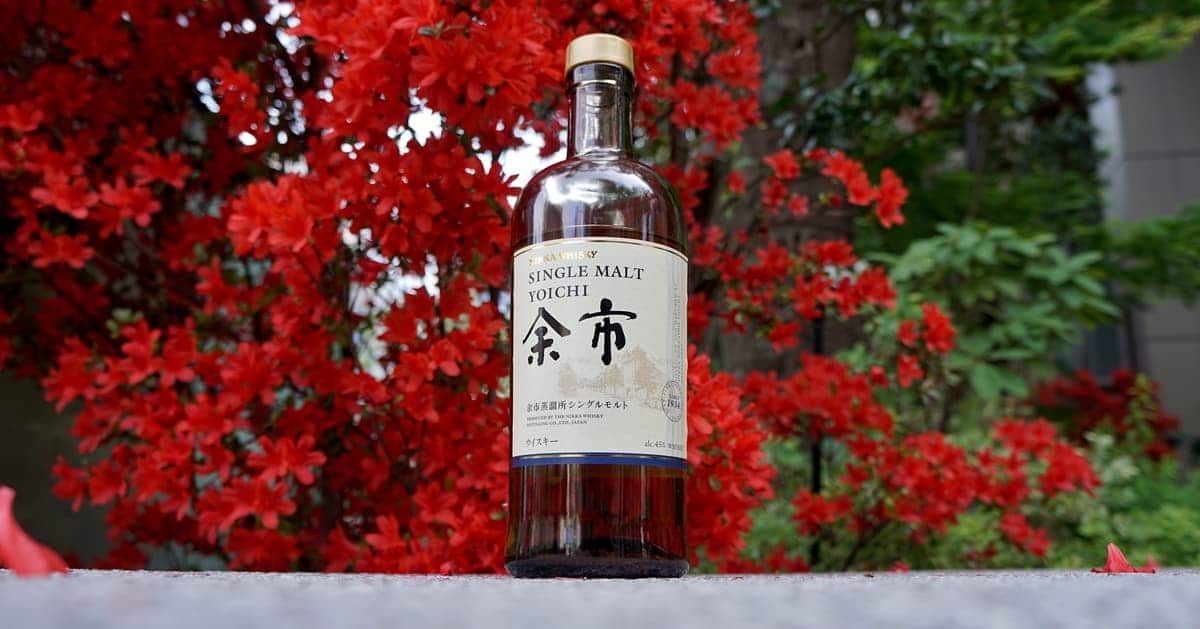 Nikka Yoichi Single Malt Review [In Depth] The Whiskey Shelf