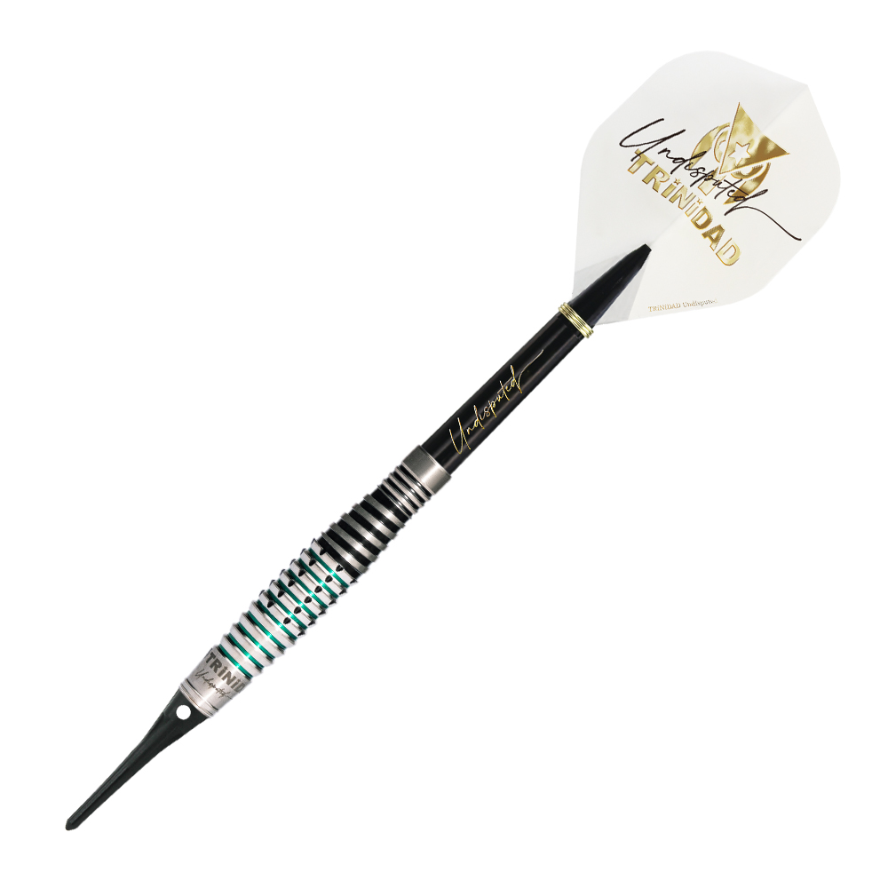 ダーツ バレル TRiNiDAD Undisputed RICARDO LOPEZ 浅田斉吾 選手