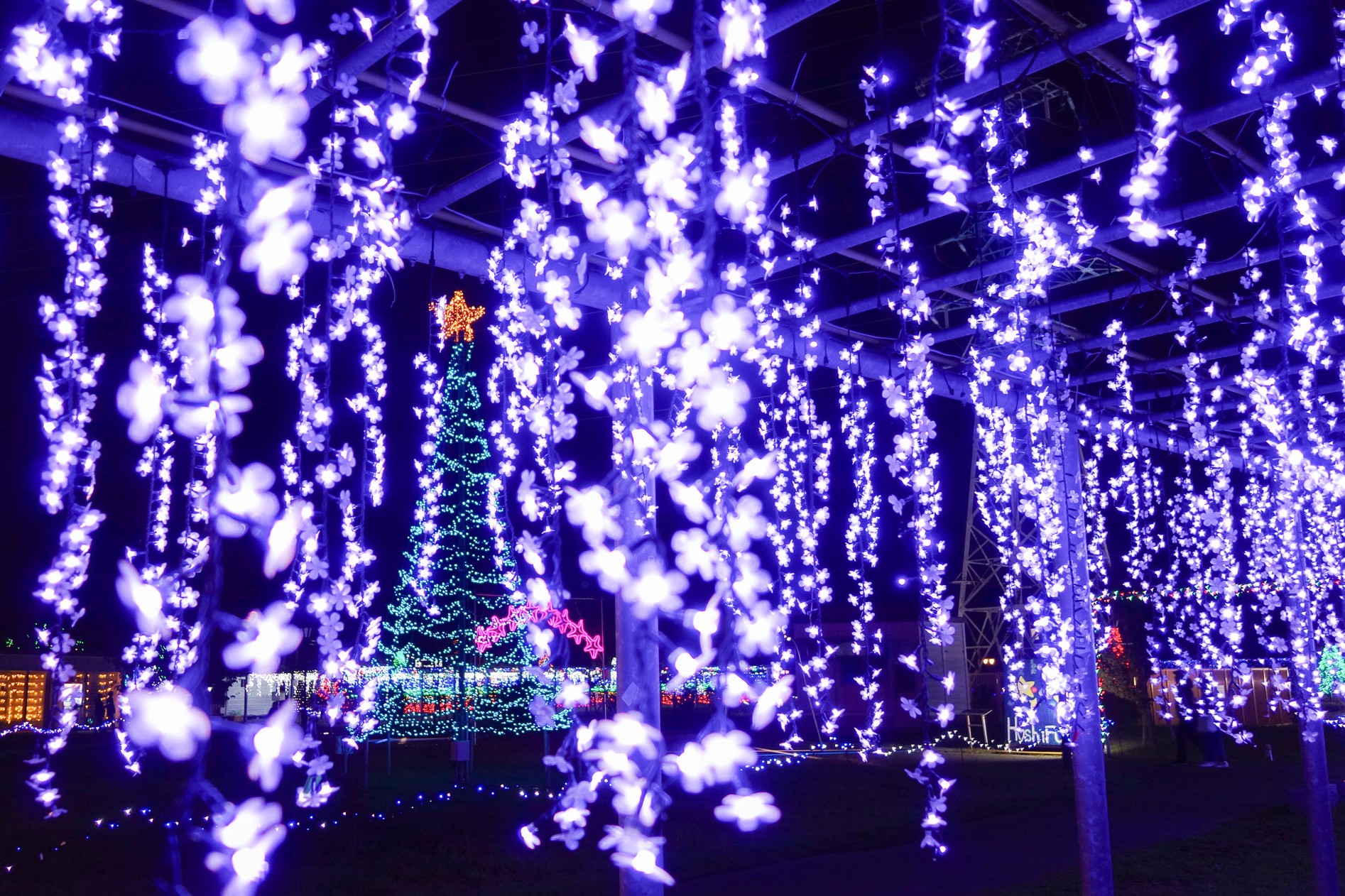 藤島イルミネーション【～2026年1月12日】 – つるおか観光ナビ