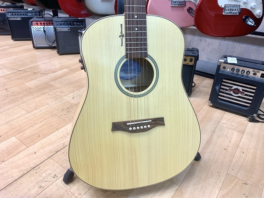 新品弦張替済】Seagull エレアコ Amber Trail SG T35 新品弦張替済