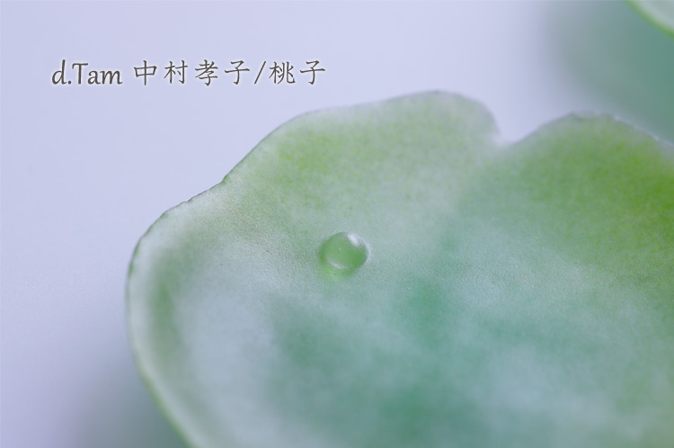 d.Tam 中村孝子/桃子 ガラス｜暮らしのうつわ 花田 作家もの和食器専門
