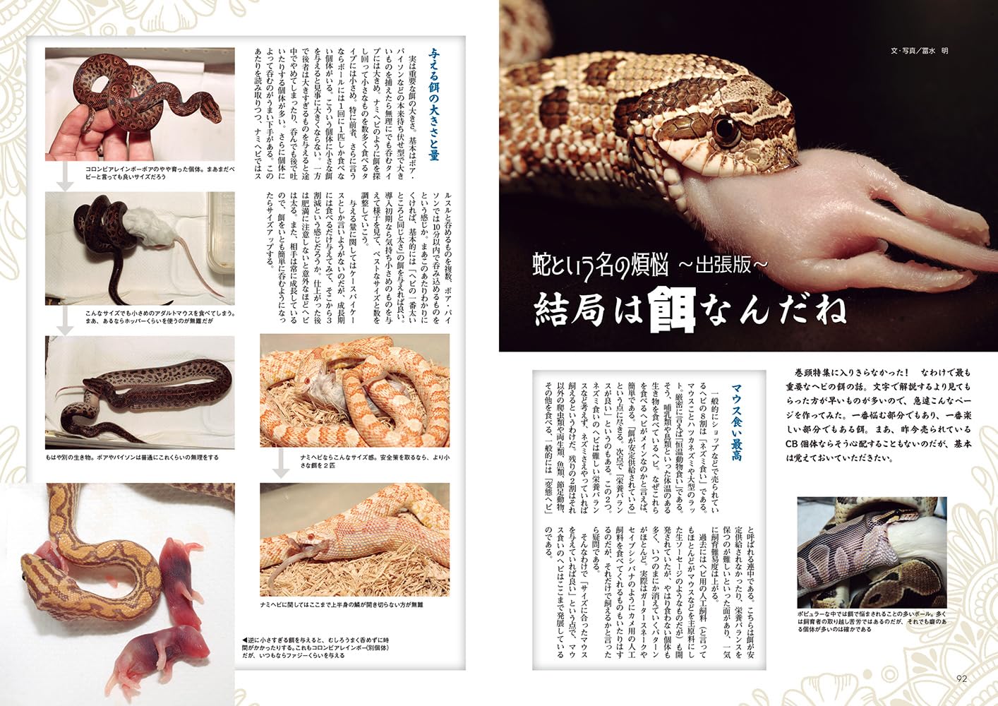 ビバリウムガイドNo.108 2025年3月号 蛇という名の煩悩