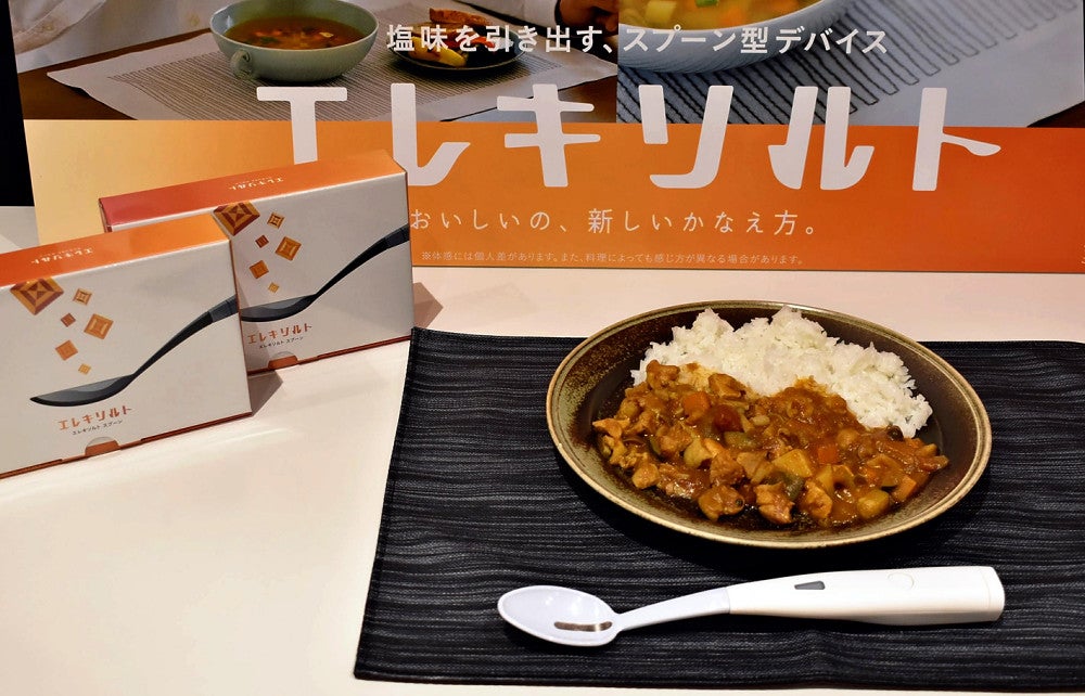 キリンエレキソルトスプーン＆休塩日のカレー レシピブック付き キリン