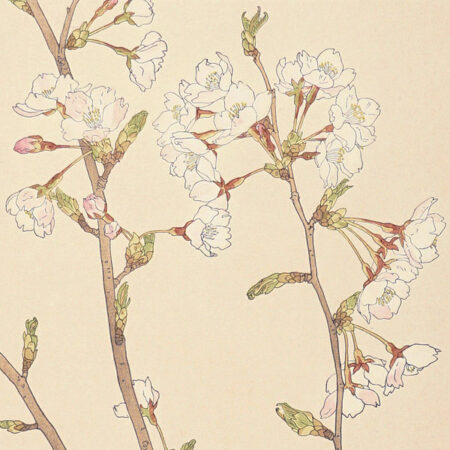 谷内六郎「なわとび」 | 山田書店美術部オンラインストア