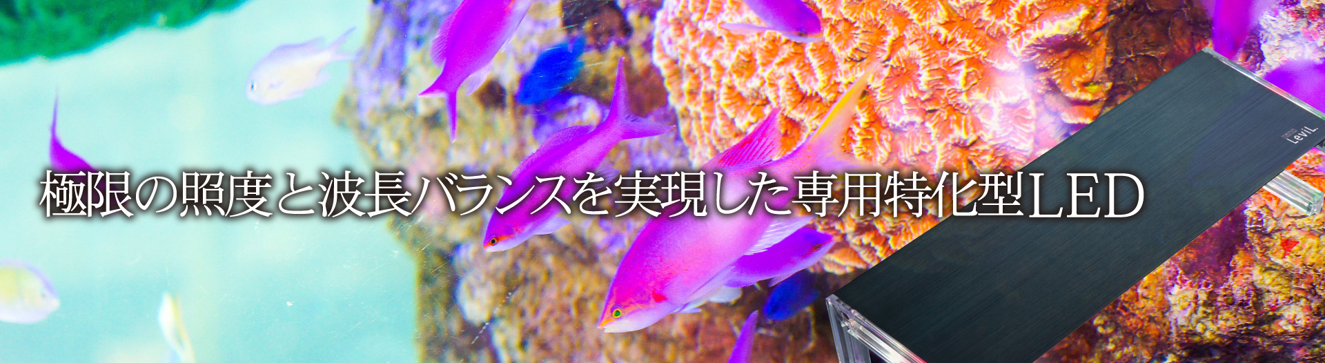 ナノレビル｜ゼンスイ株式会社