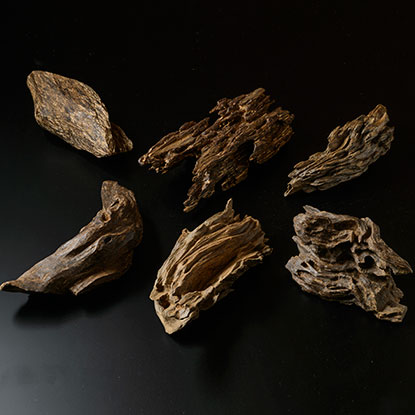 香木について - 株式会社 山田松香木店｜江戸時代から続く京都の老舗