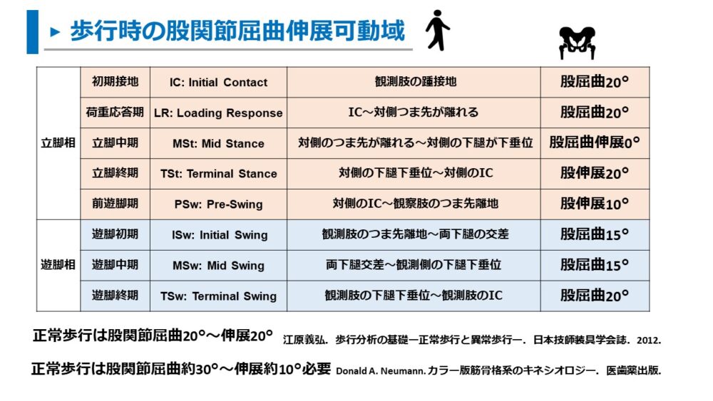 股関節】移動や和式生活・更衣動作の股関節角度を解説【生活に必要な