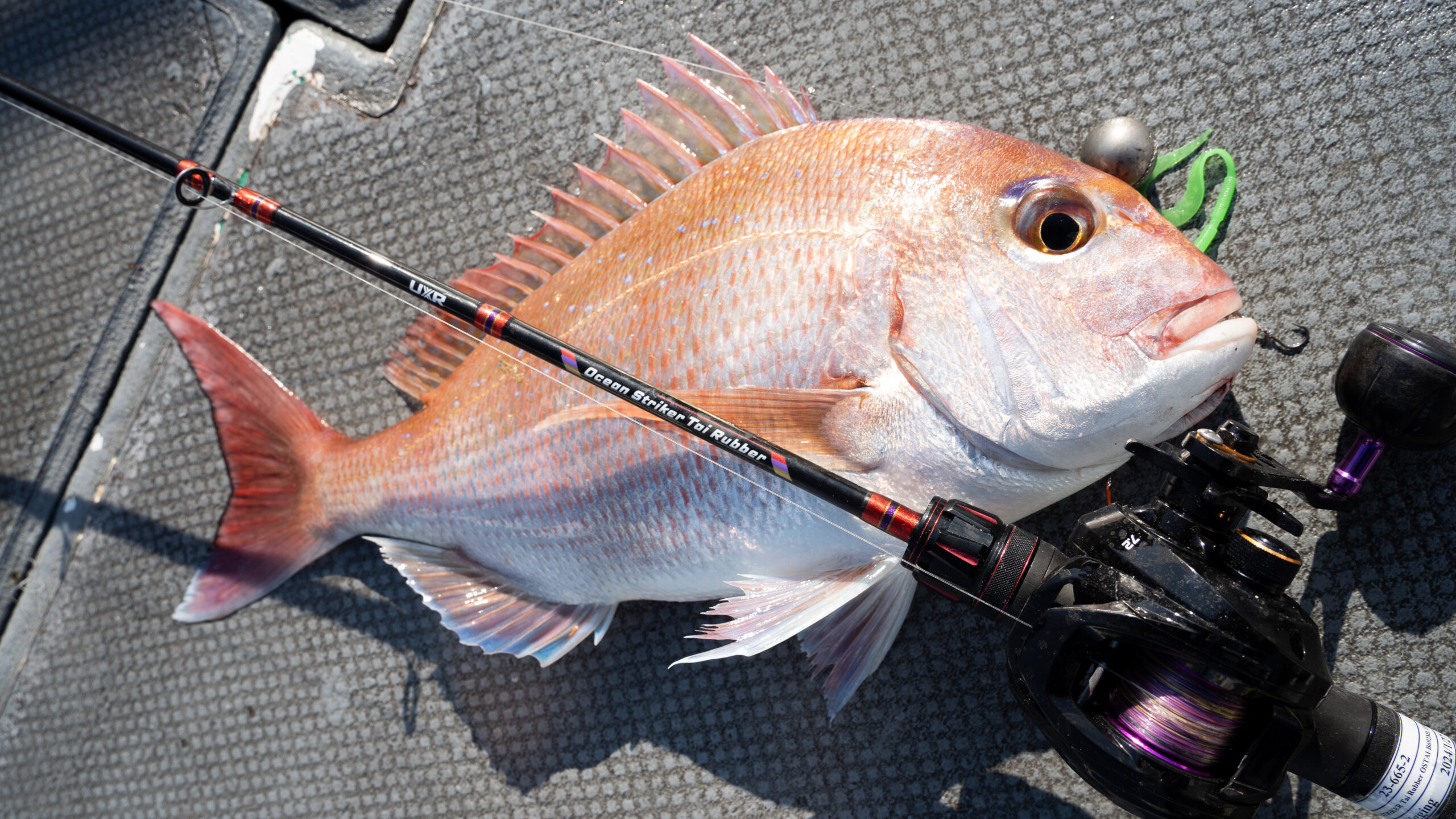 Ocean Striker TaiRubber （オーシャンストライカー タイラバ