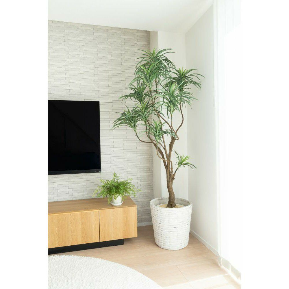 No8182 プレミアム光触媒フェイクグリーン「枝を自由に曲げて × 空間に