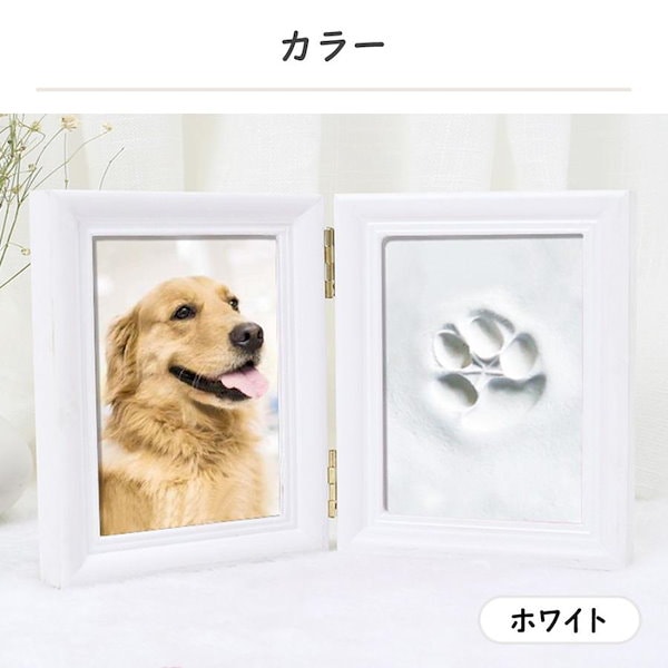 Qoo10] 新商品プロモーション，数量限定 フォトフ