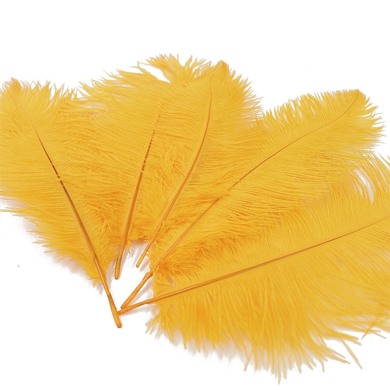 オーストリッチ1本羽根(5本入)(全11色)≪1袋単位販売≫｜日暮里の特殊