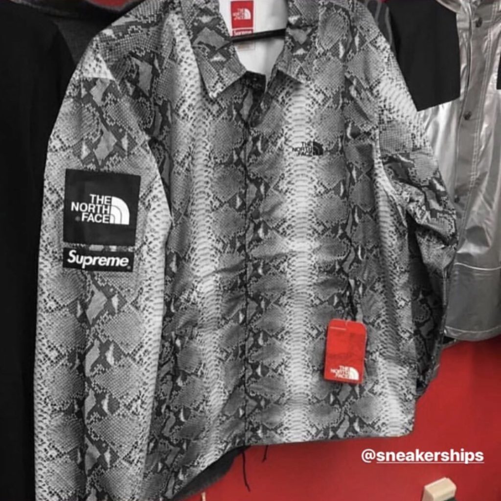 THE NORTH FACE x Supreme ヘビ柄ジャケット 海外用タグ シュプリーム