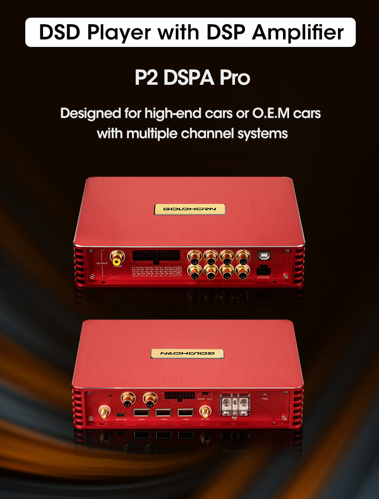 P2 DSPA Pro – Goldhorn USA