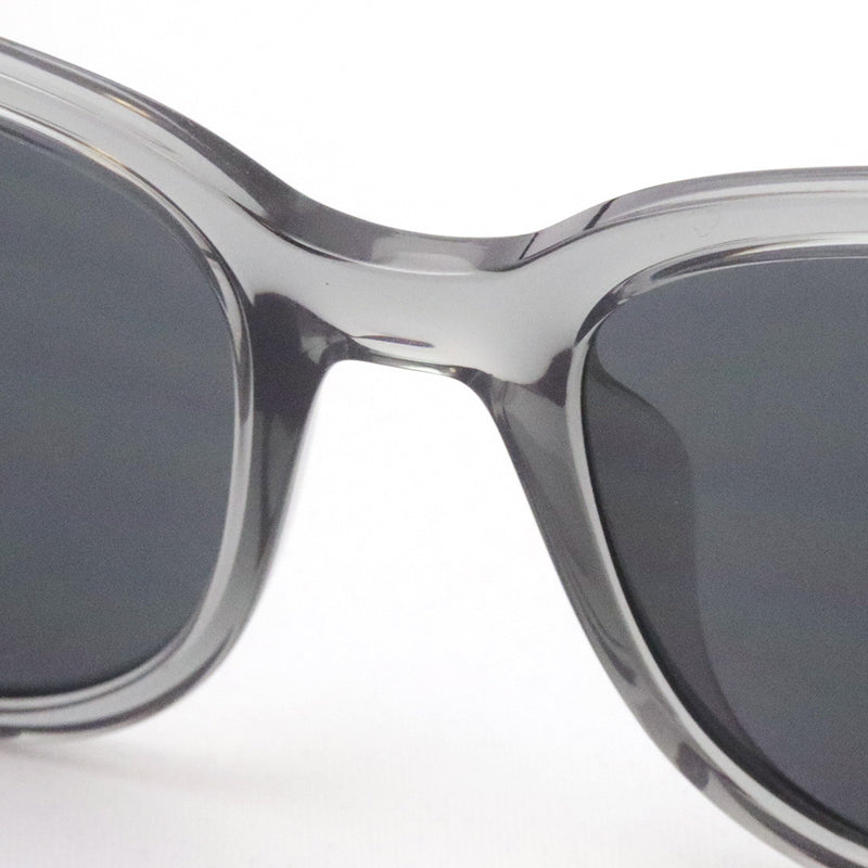 レイバン サングラス Ray-Ban RB4379D 659987 – GLASSMANIA -TOKYO AOYAMA-