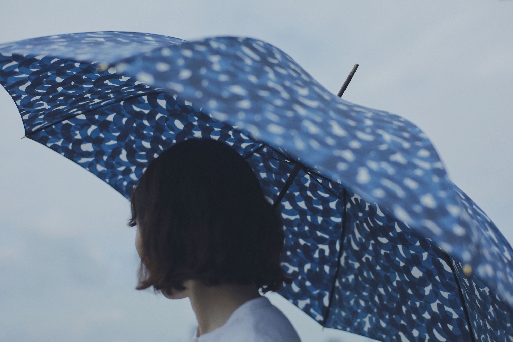 aalto 傘 - minä perhonen