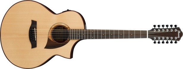 アライ 12弦アコギ、エレアコ仕様 アライ 12弦アコギ、エレアコ仕様