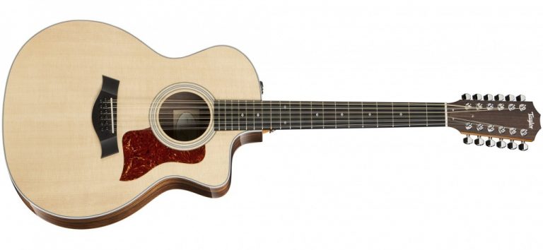 Taylor-254ce-DLX-fr-2016-