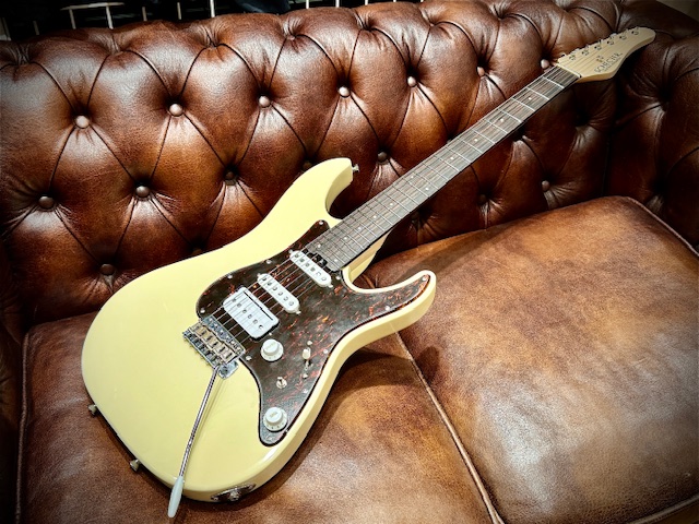 ステンレス＆24フレット＋SSHピックアップ＝便利さを突き詰めた1本