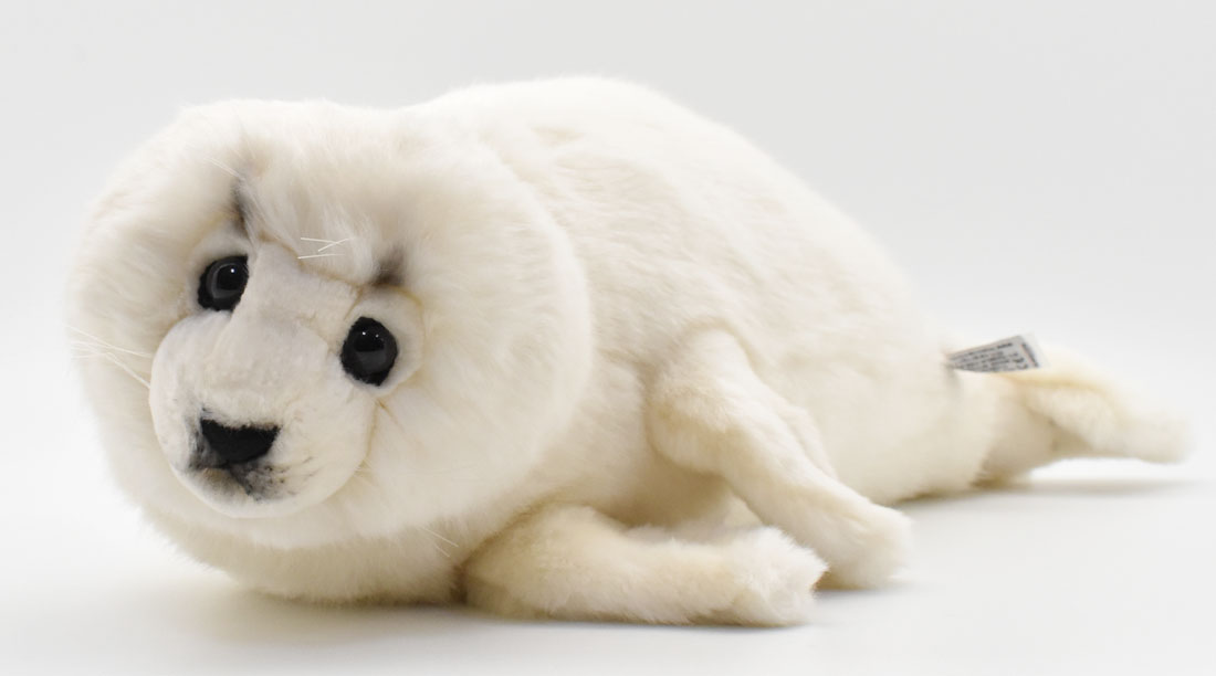 アザラシ 48 | HANSA