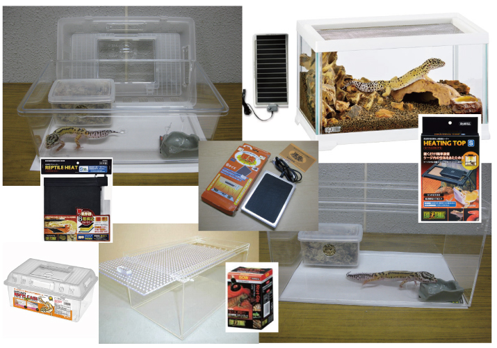レオパにオススメ 『ケージ／保温器具』 | 爬虫類倶楽部