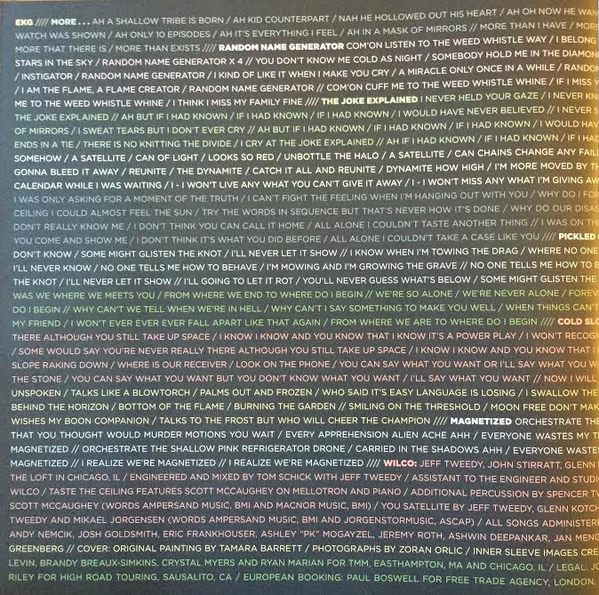 Wilco - Star Wars - New Vinyl - High-Fidelity Vinyl Records and Hi