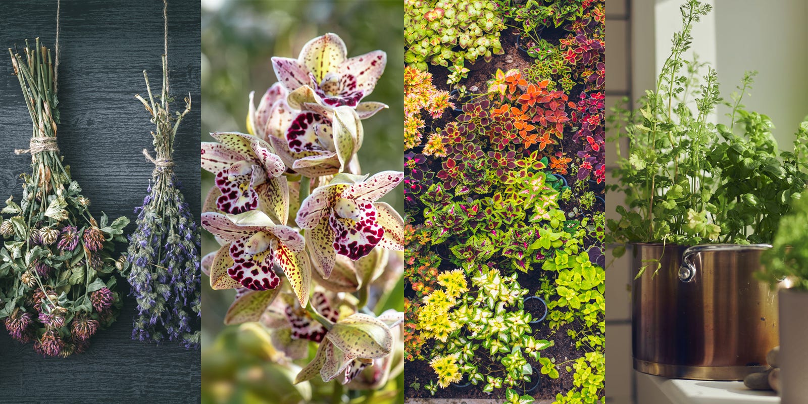 top-1673948263.jpg?crop=0.