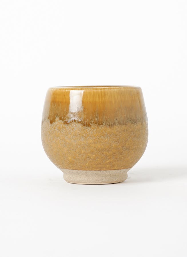 植木鉢 スマオ 10 Y 2号鉢用 ブラウン #FARM 40048 | 鉢カバー・植木鉢